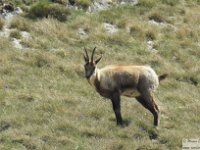 2026-05-27 M. Aquila da F. Cerreto 115